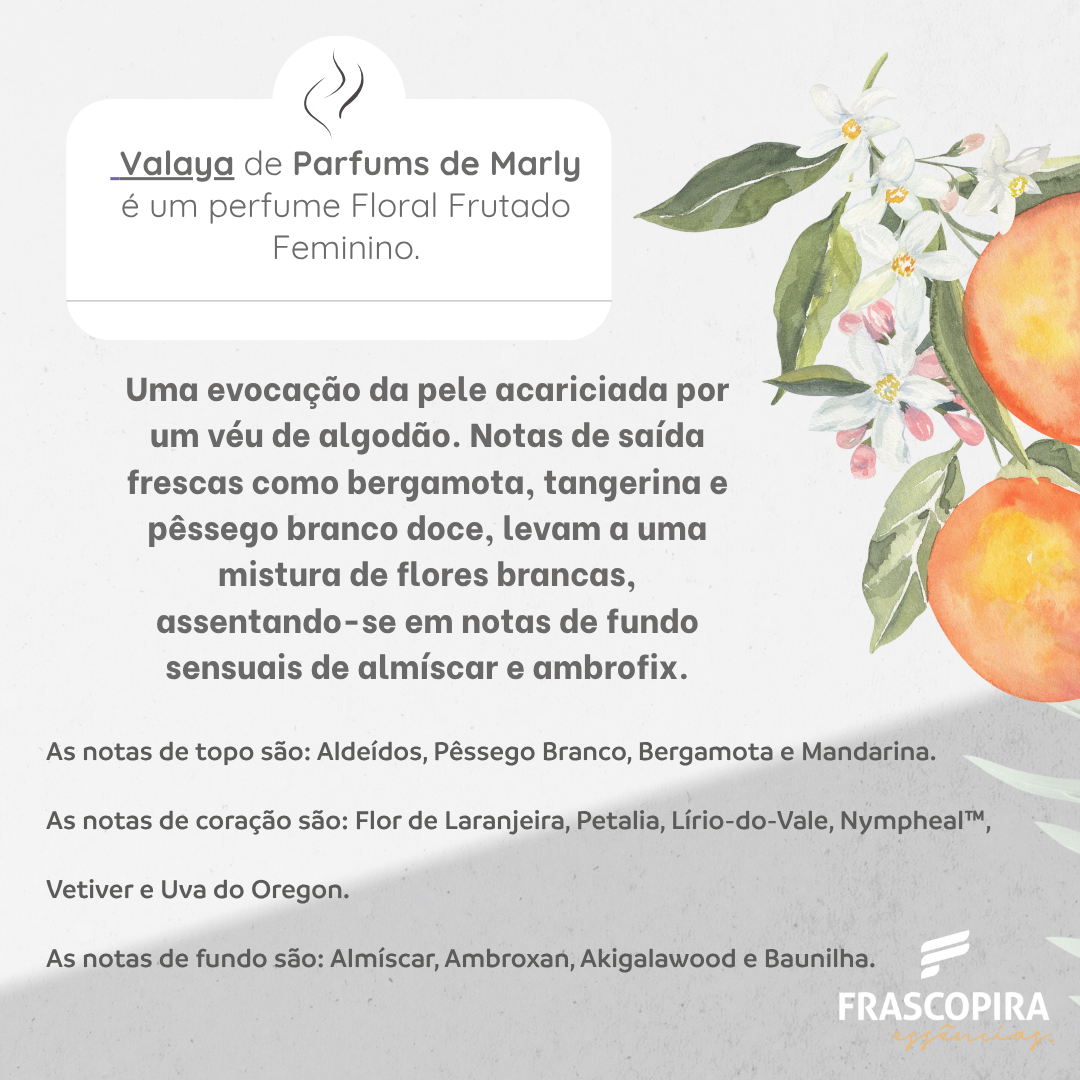Kit Perfumista Essência Vollmens Faça Até 100ml VALAYA